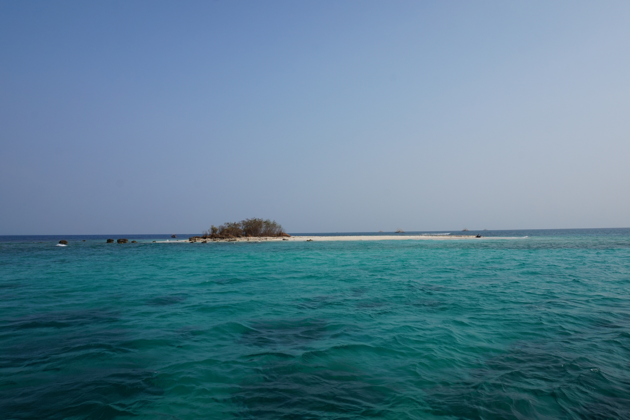 ujung kulon national park (2).webp